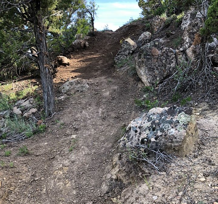Book Cliffs Stewardship Project