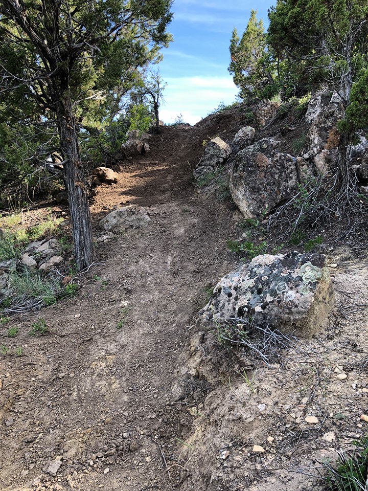 Book Cliffs Stewardship Project